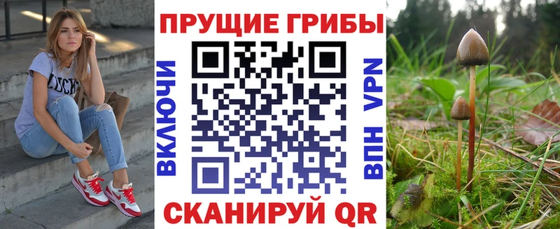 Галлюциногенные грибы ЛСД  закладки  Удачный 