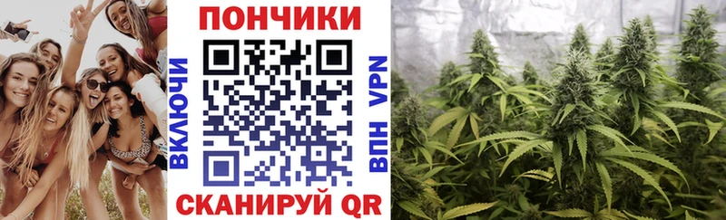 Бошки марихуана SATIVA & INDICA  магазин продажи   Удачный 